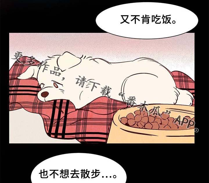 第34章：面对死亡