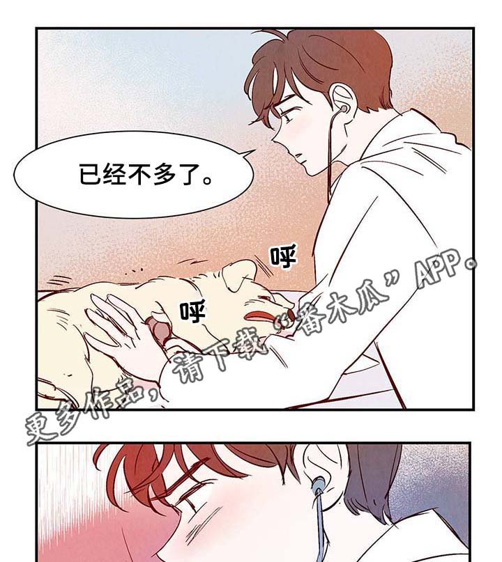 第34章：面对死亡