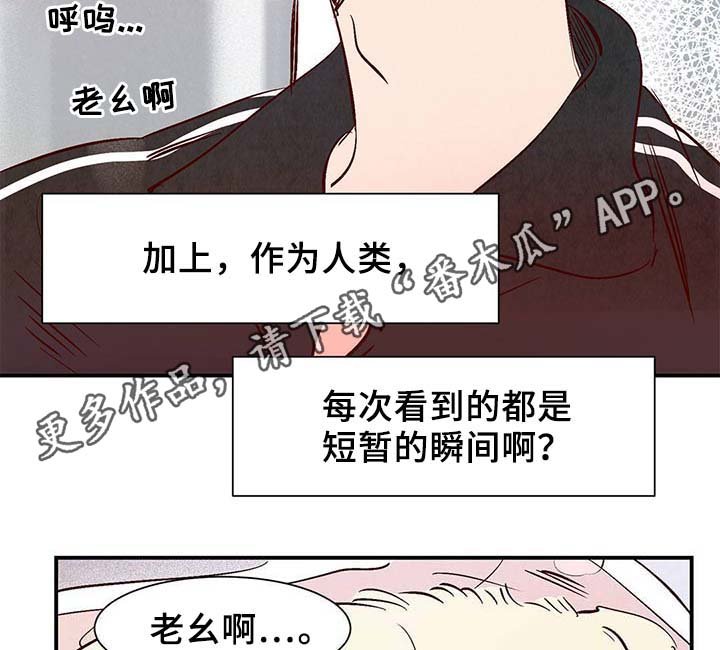 第34章：面对死亡