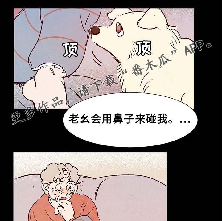 第35章：灵魂召唤