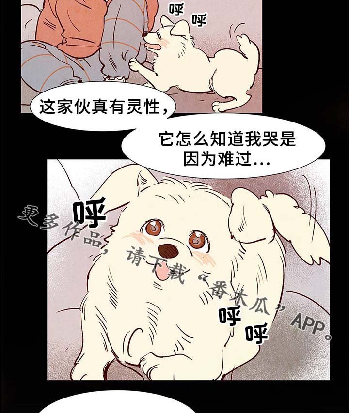 第35章：灵魂召唤