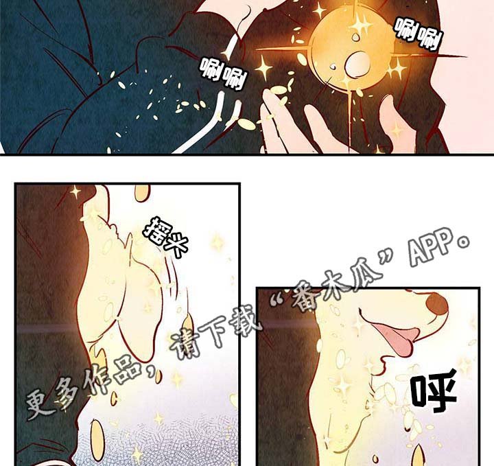 第35章：灵魂召唤