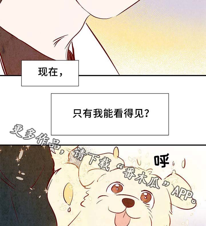 第35章：灵魂召唤