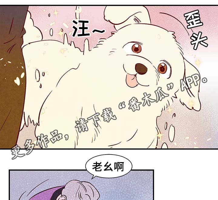 第36章：让我见见它