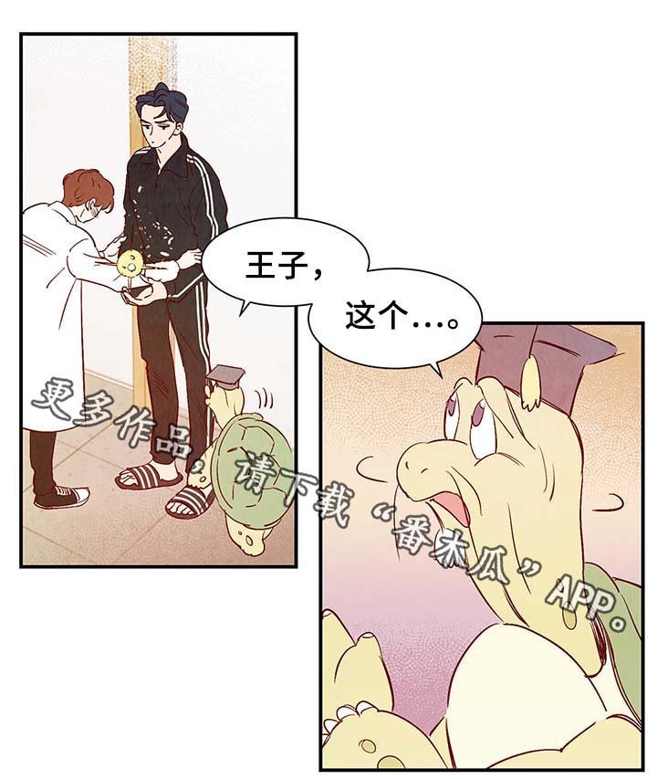 第36章：让我见见它