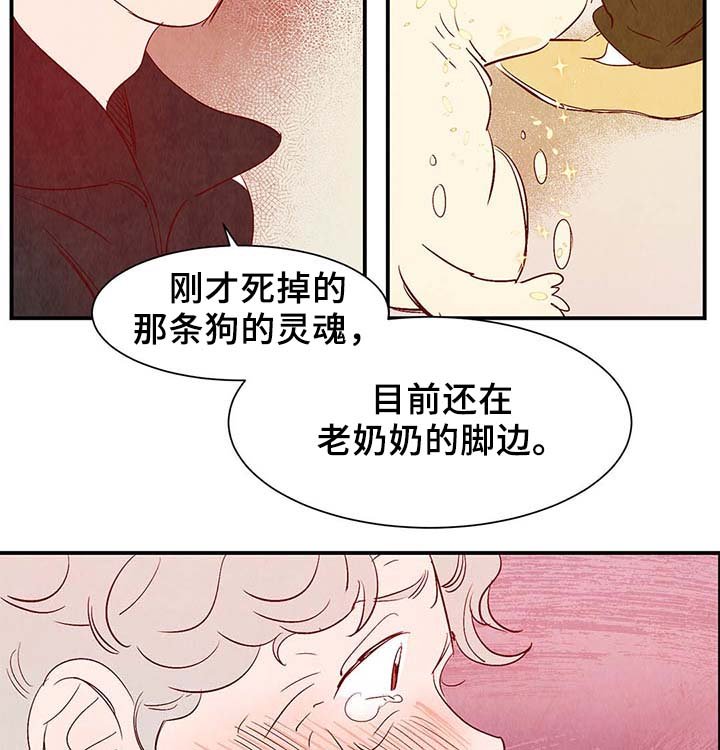 第36章：让我见见它