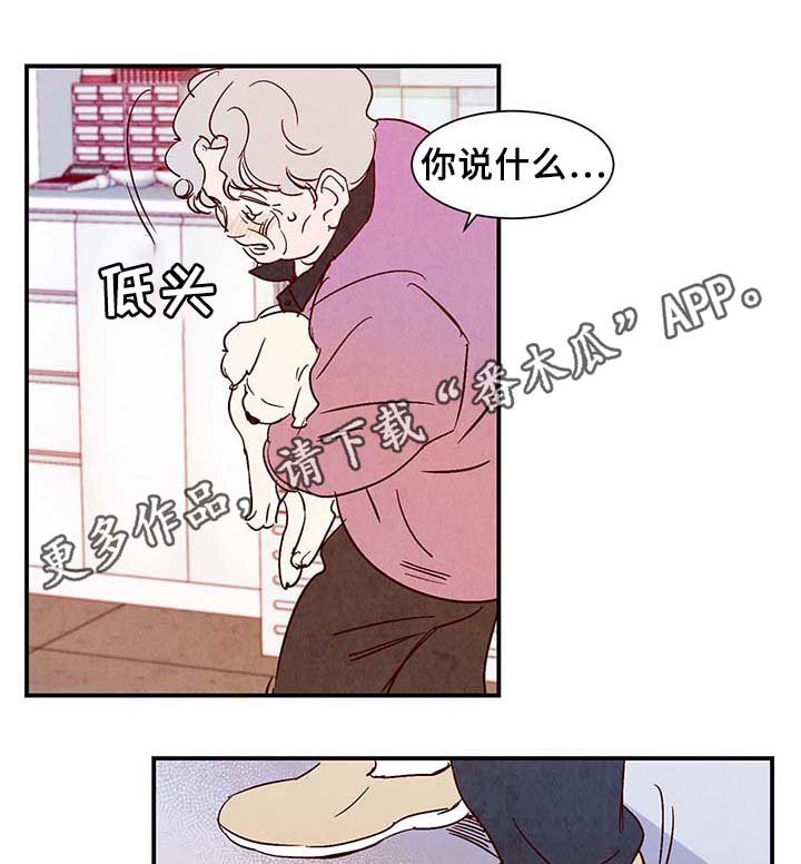 第36章：让我见见它
