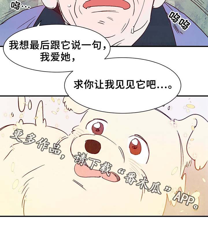 第36章：让我见见它