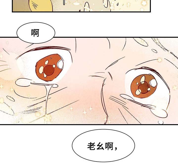 第36章：让我见见它