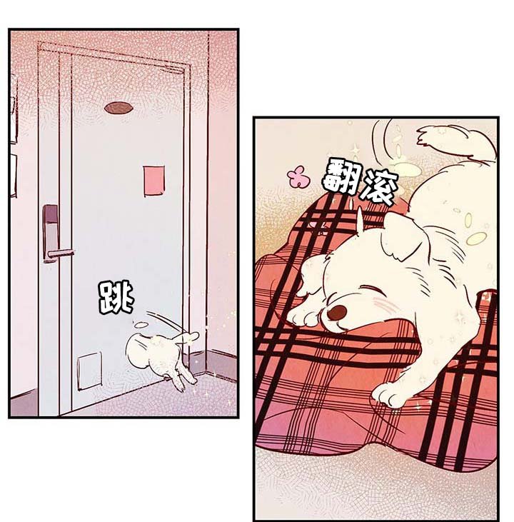 第37章：上路