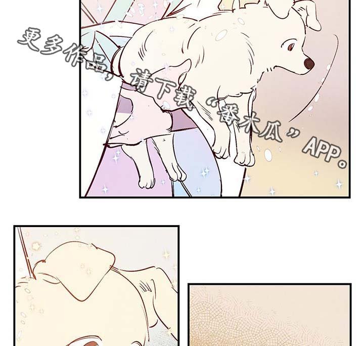 第37章：上路