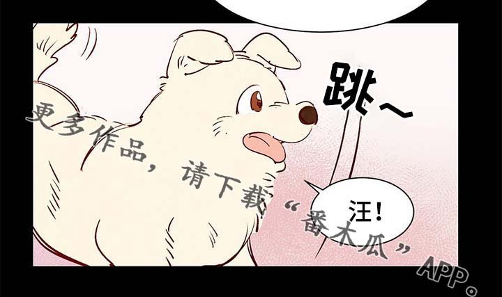 第38章：老幺的故事