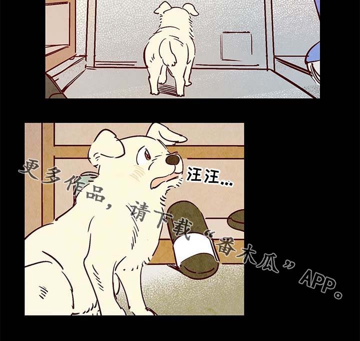 第38章：老幺的故事