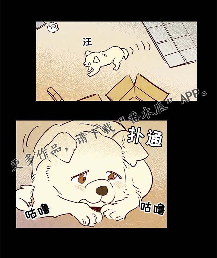 第38章：老幺的故事