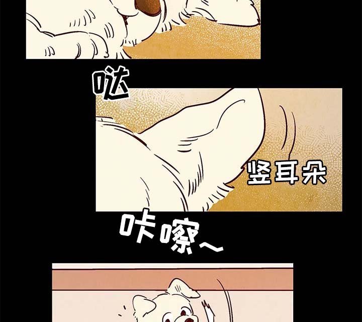 第38章：老幺的故事