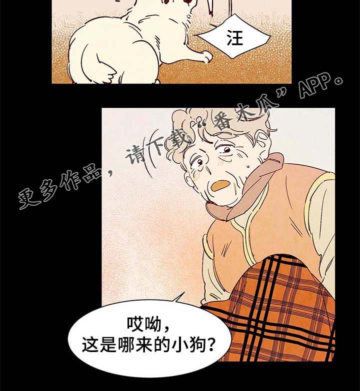 第38章：老幺的故事