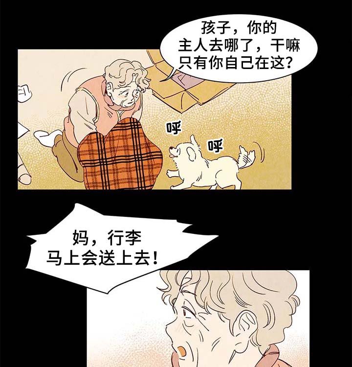 第38章：老幺的故事