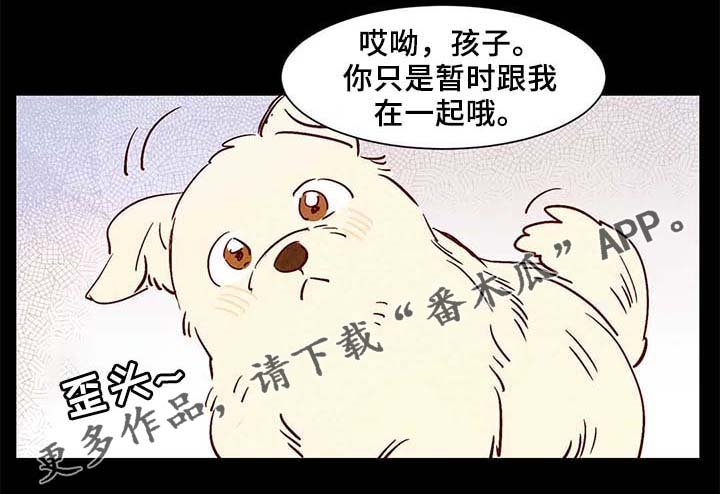 第38章：老幺的故事