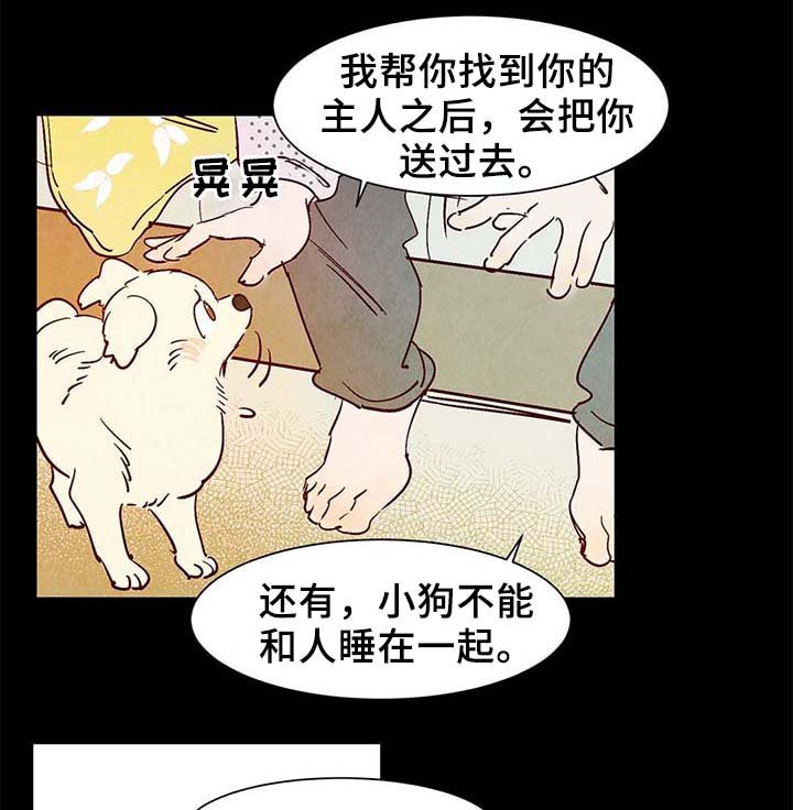 第38章：老幺的故事