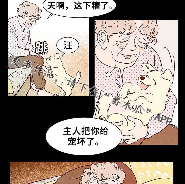 第38章：老幺的故事