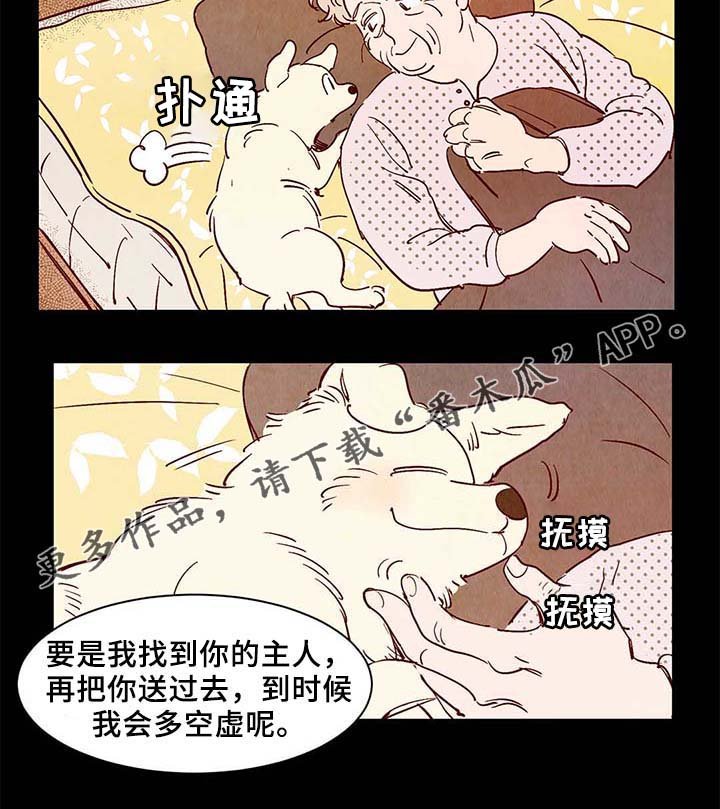 第38章：老幺的故事