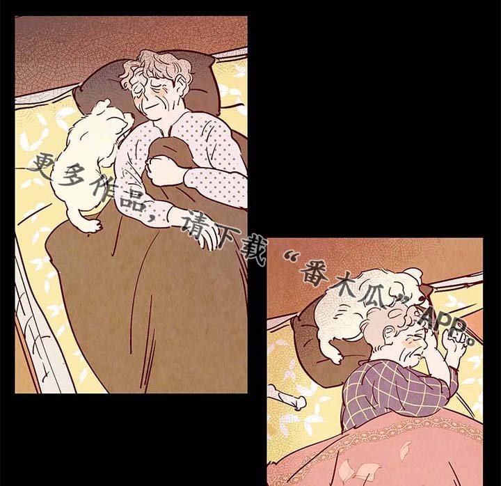 第38章：老幺的故事
