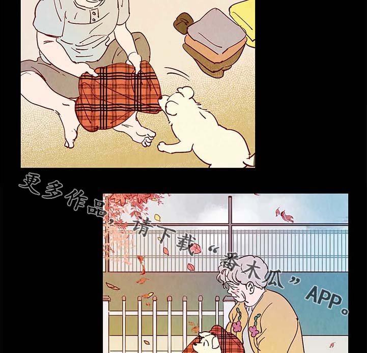 第38章：老幺的故事