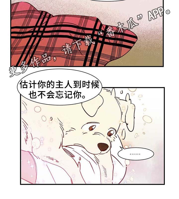 第38章：老幺的故事