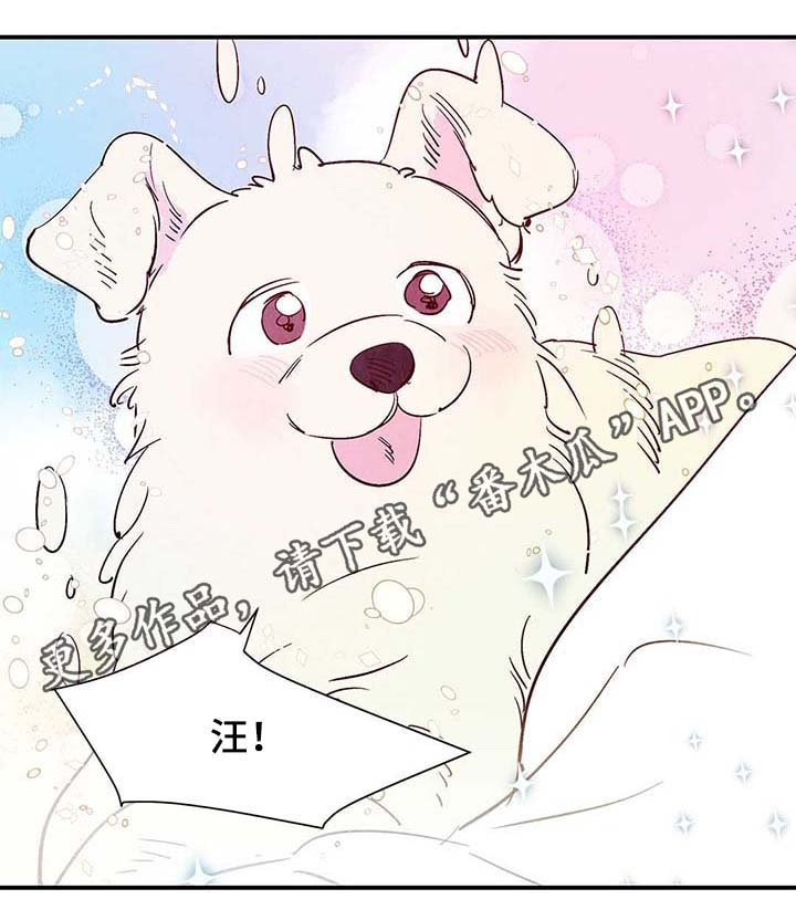 第38章：老幺的故事