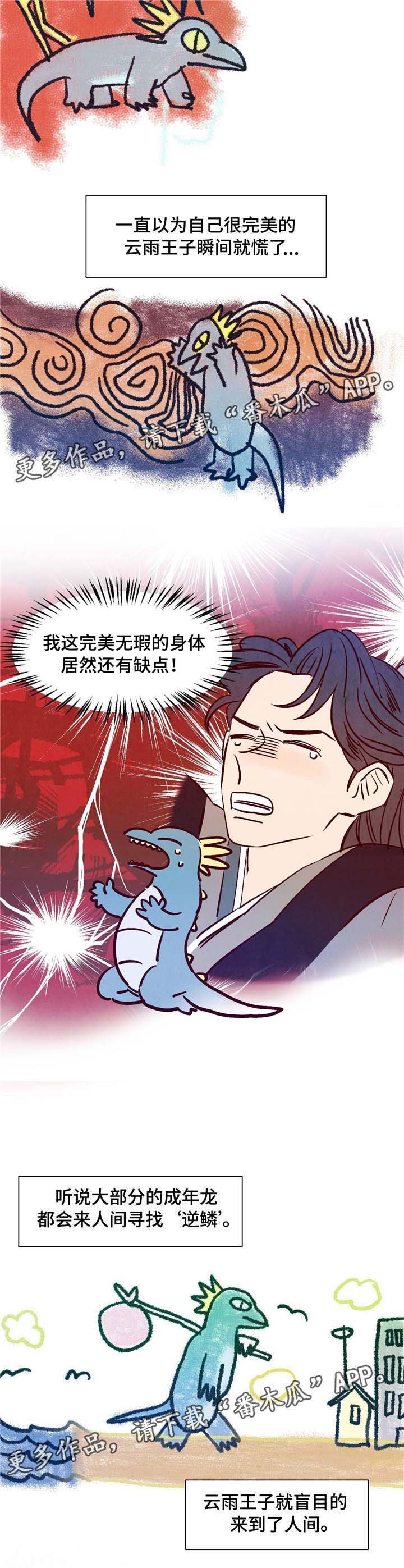 第5章：适应