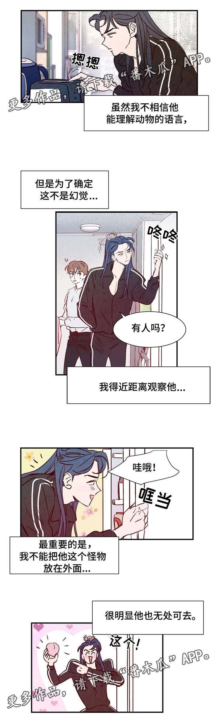 第5章：适应