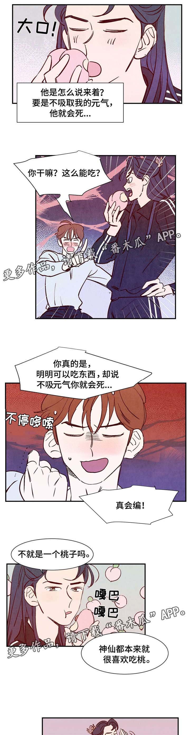 第5章：适应
