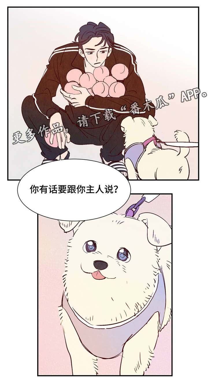 第8章：有话要说