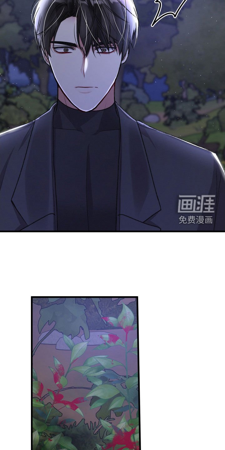 第102章：调虎离山