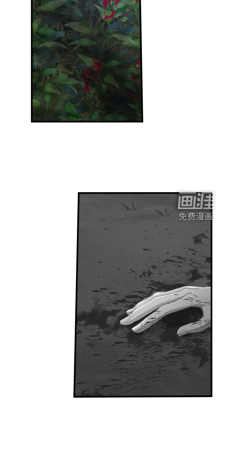第102章：调虎离山