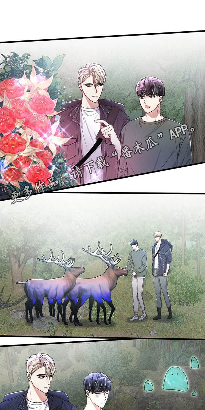 第45章：目的地