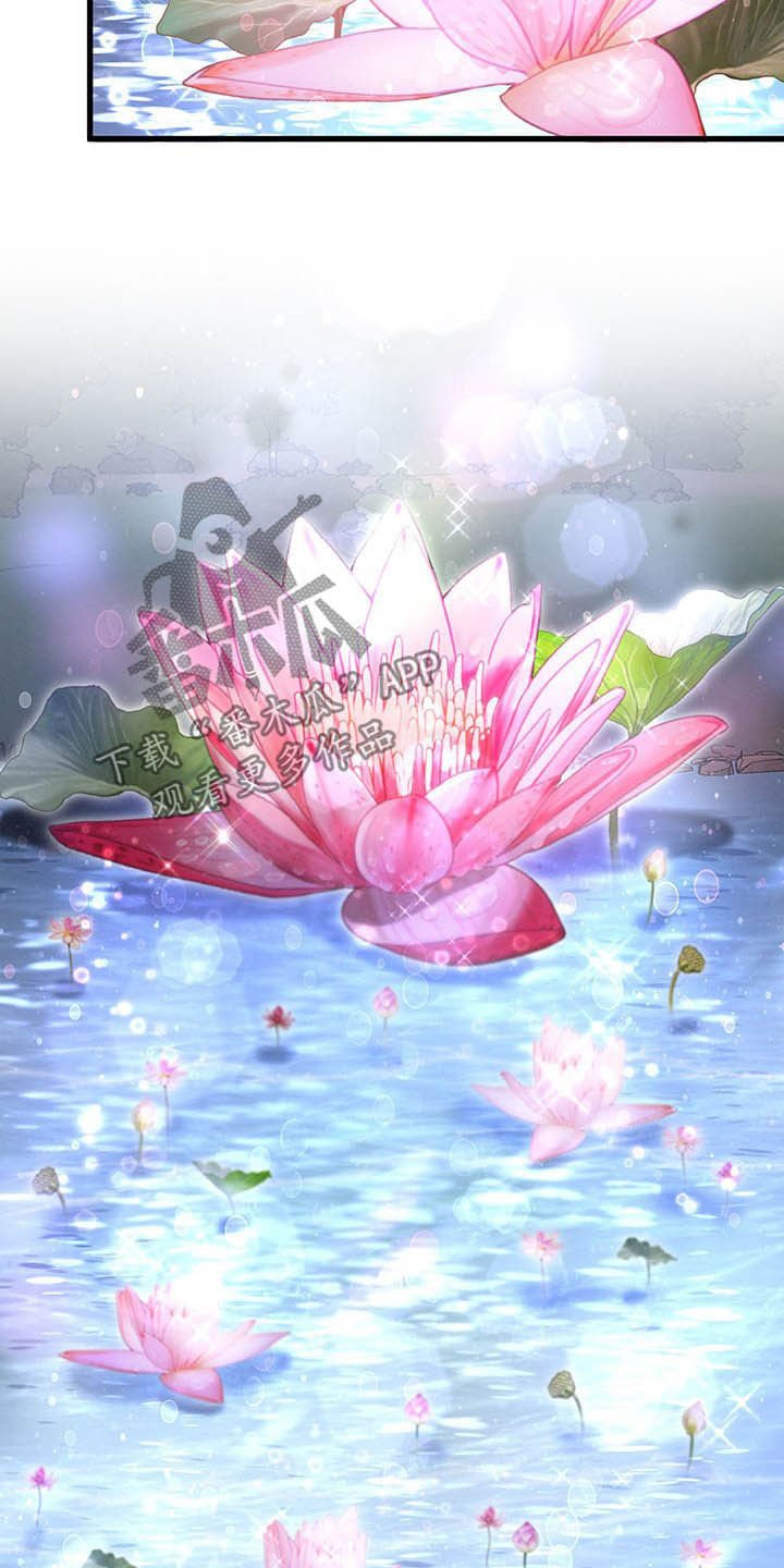 第45章：目的地