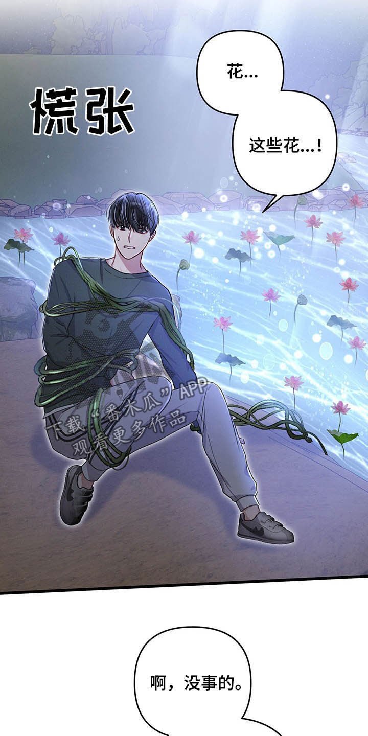 第45章：目的地