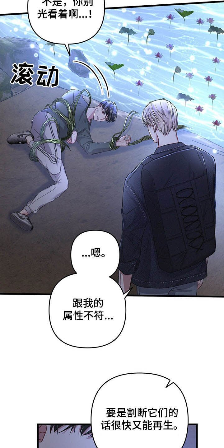 第45章：目的地