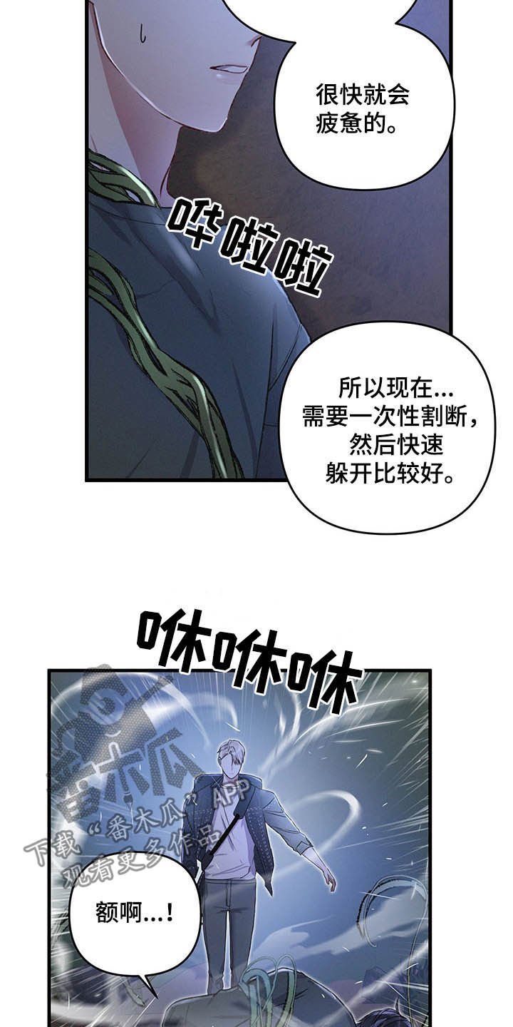 第45章：目的地