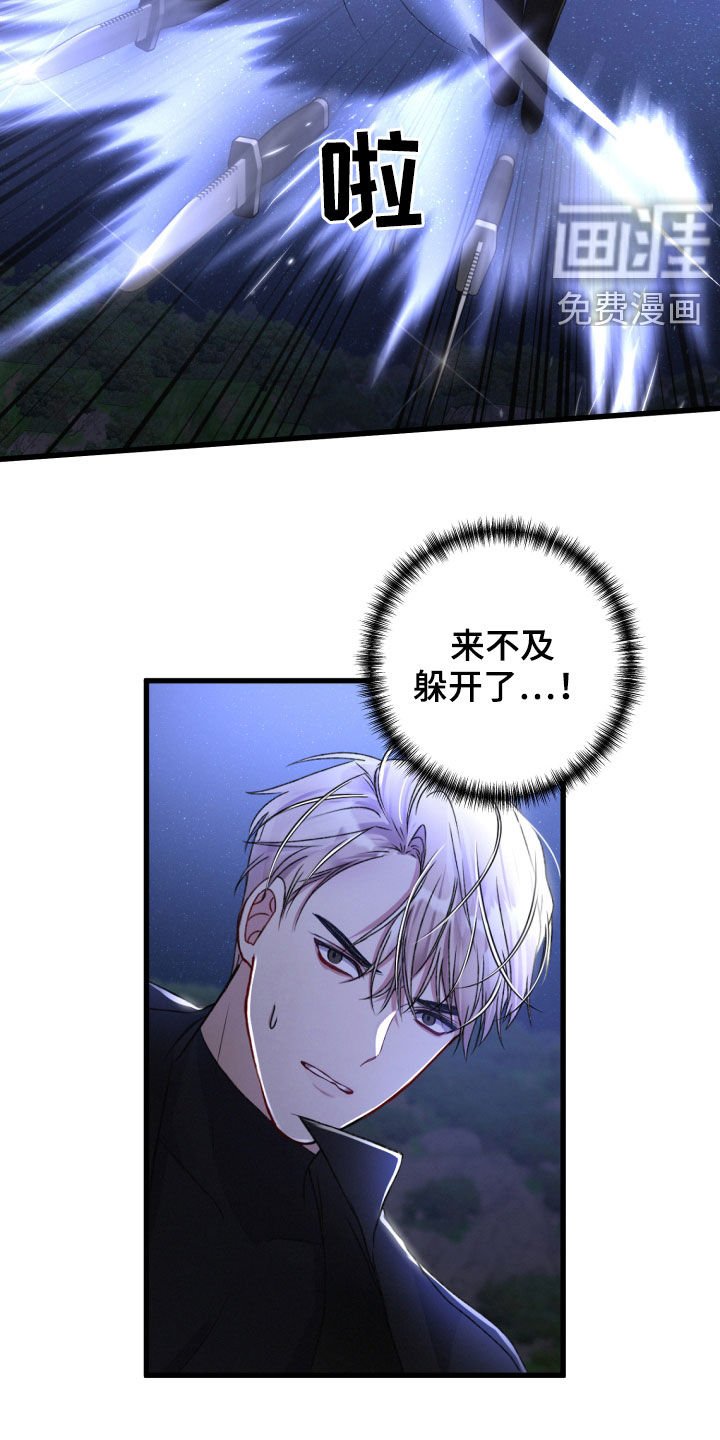 第61章：打一架吧