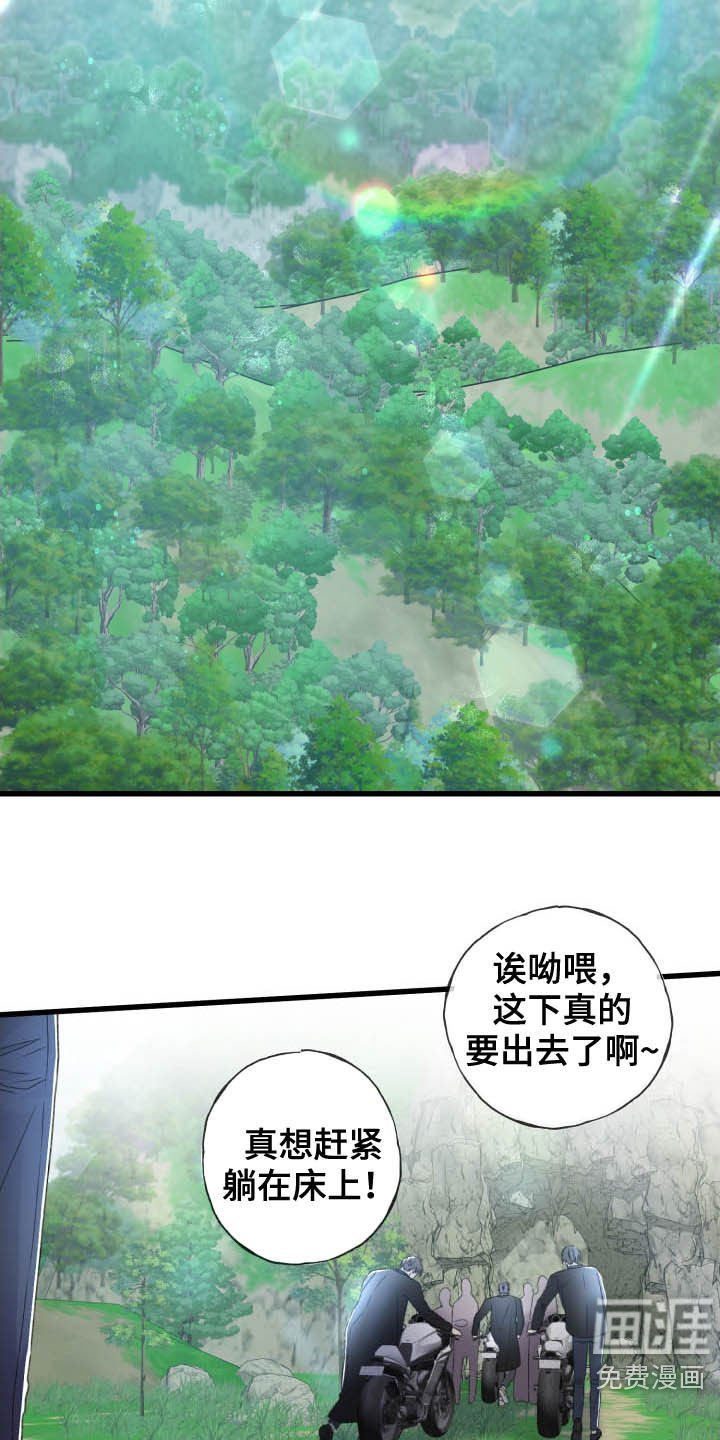 第66章：不必担心
