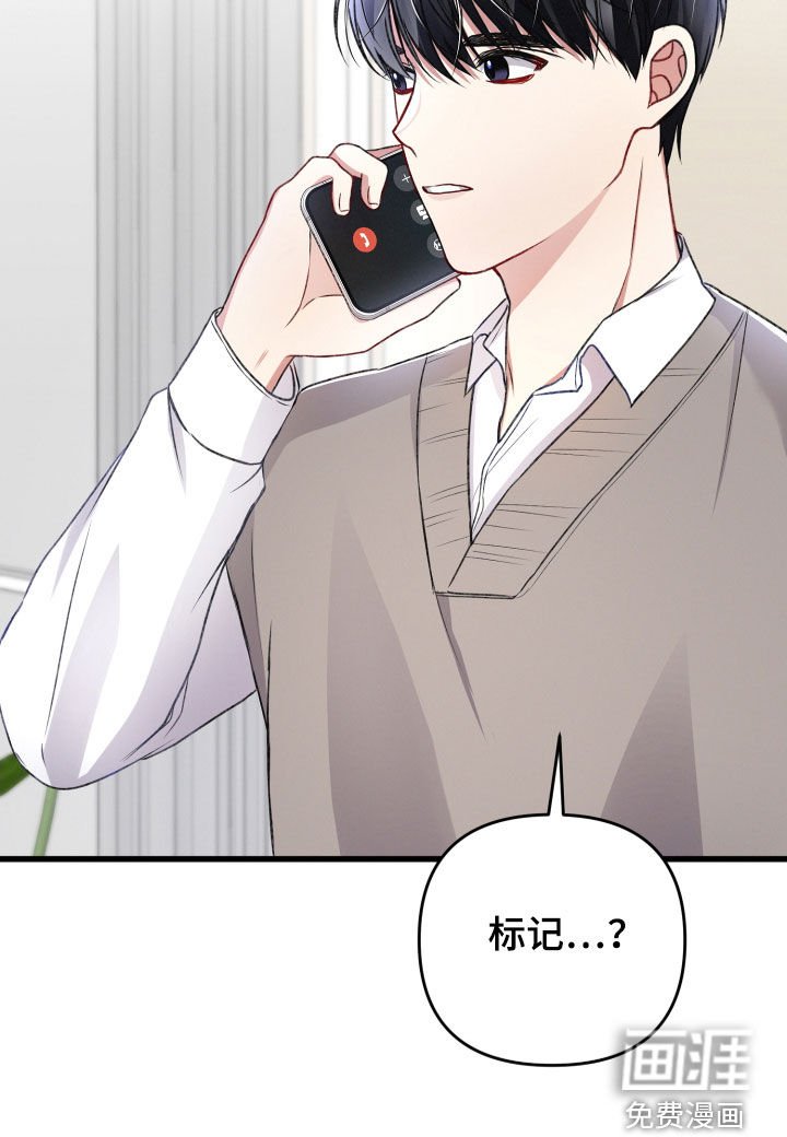 第73章：新闻发布会