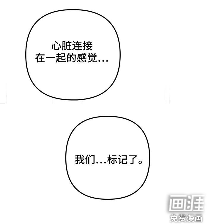 第79章：标记