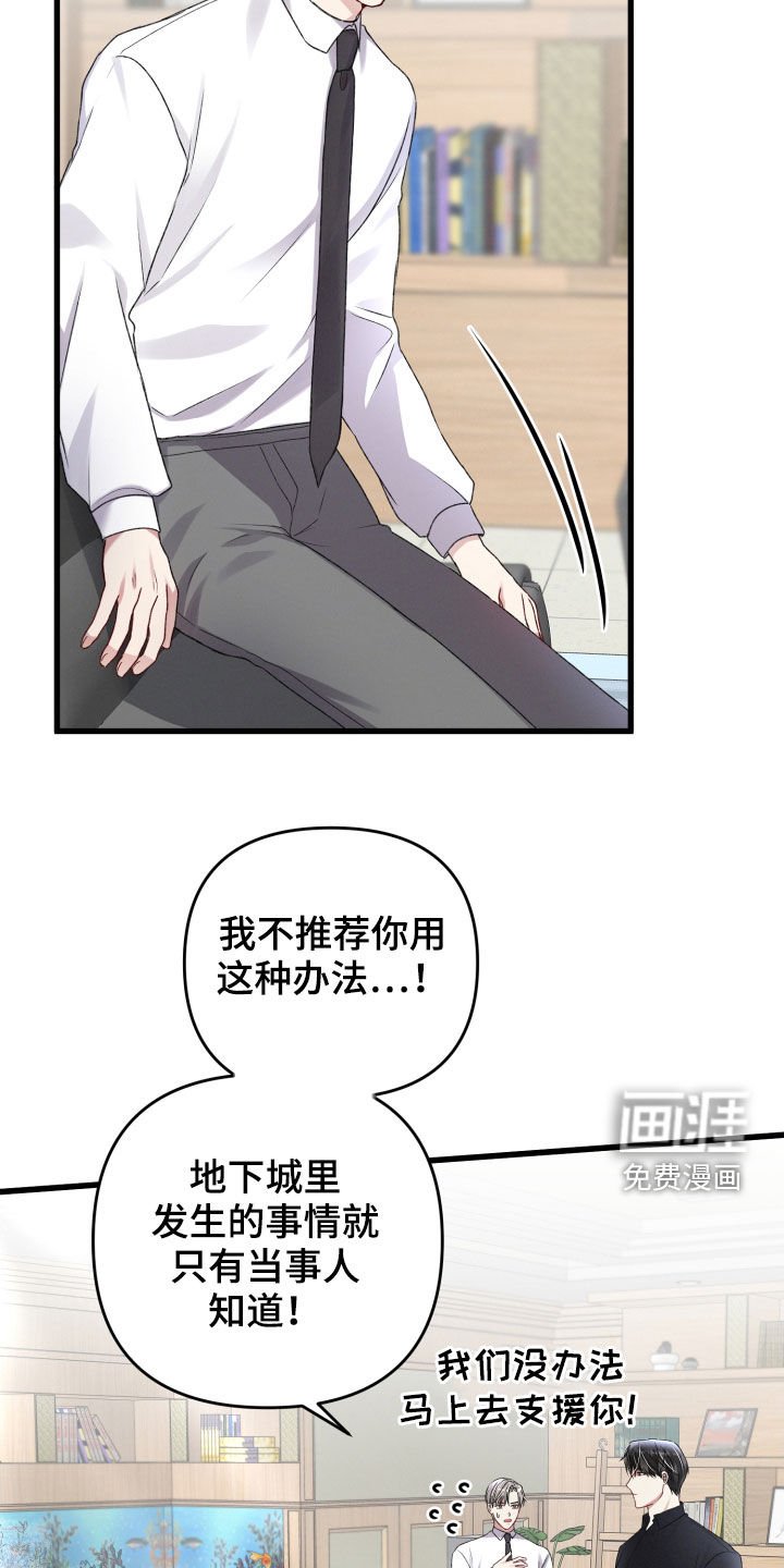 第81章：引蛇出洞