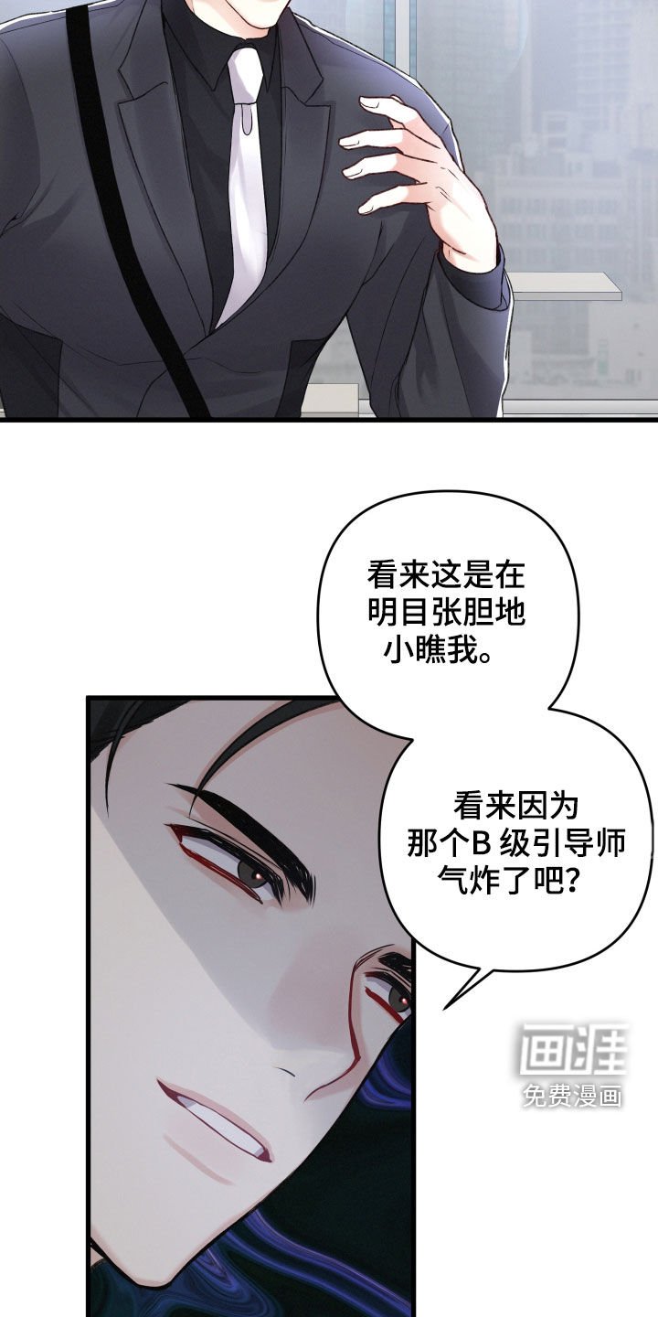 第81章：引蛇出洞