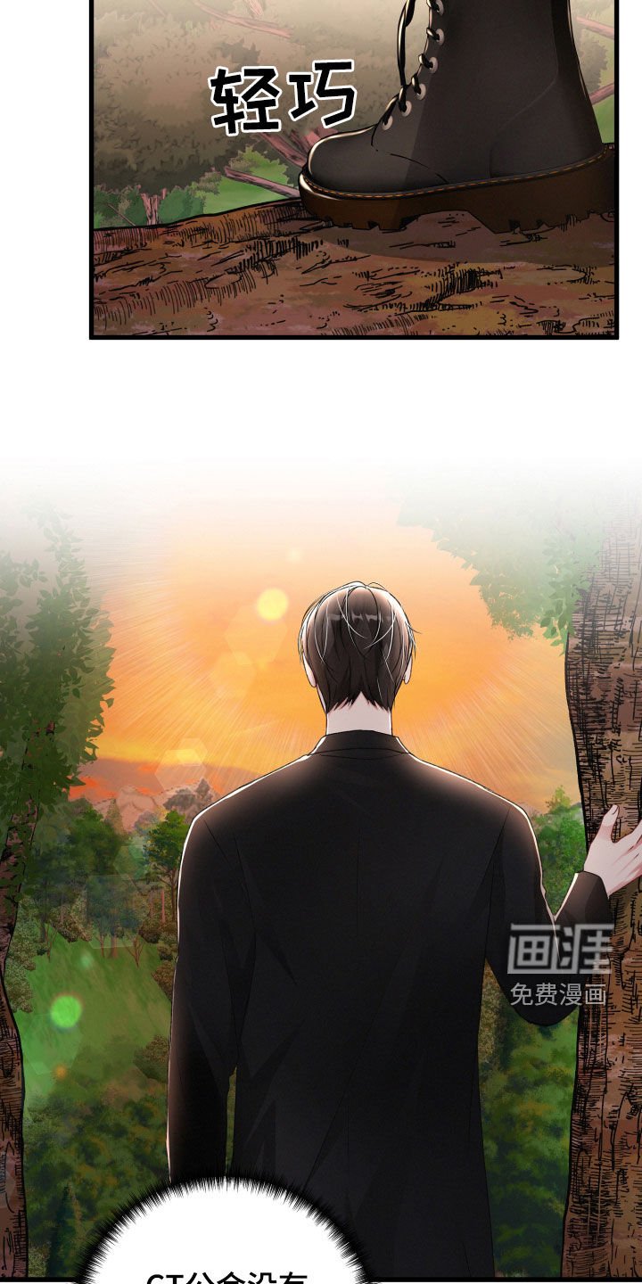 第86章：伏击