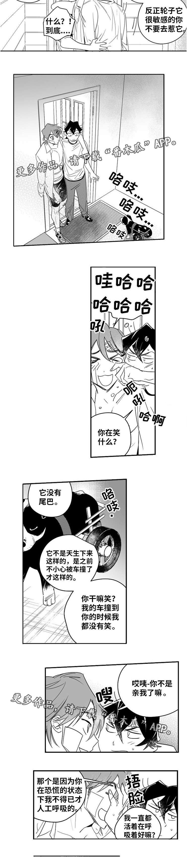 第12章：出谋划策