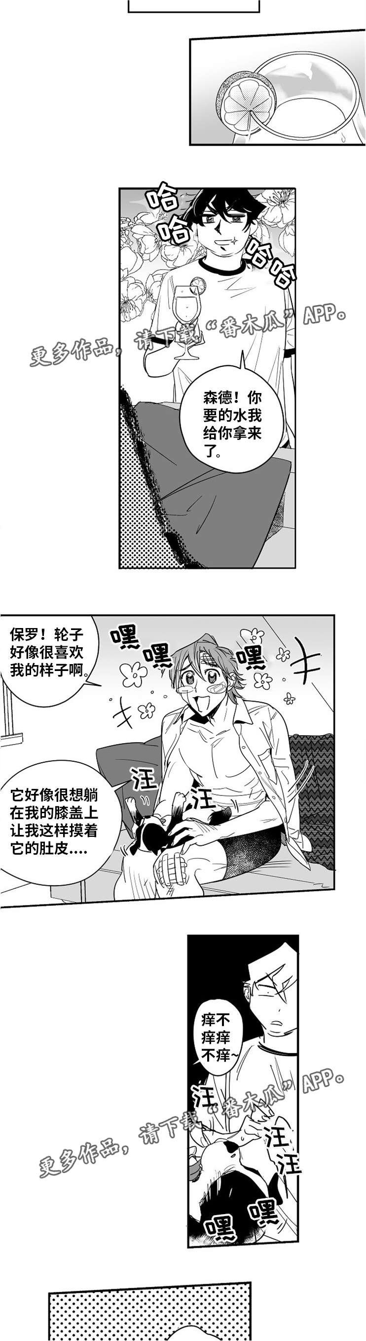第13章：因为喜欢