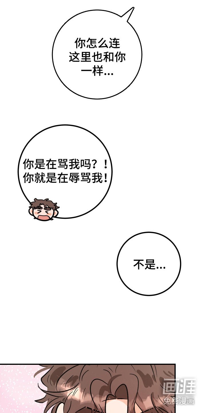 第11章：不反感